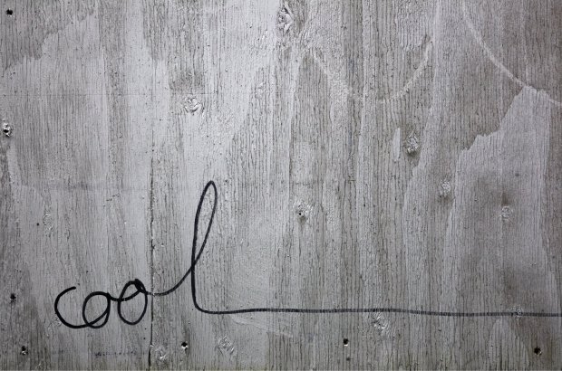 Cool on White-Washed Plywood