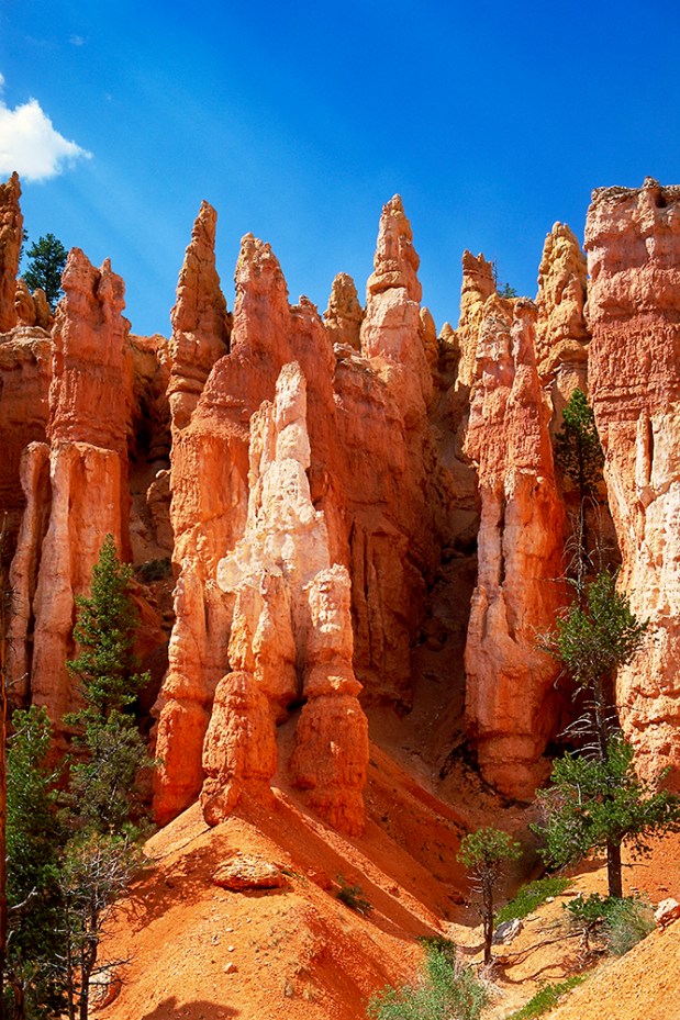 Dream on, on to the heart of the sunrise...