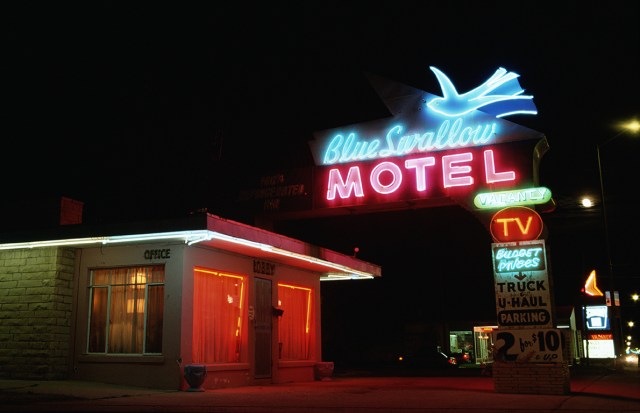 The Grace of the Blue Swallow