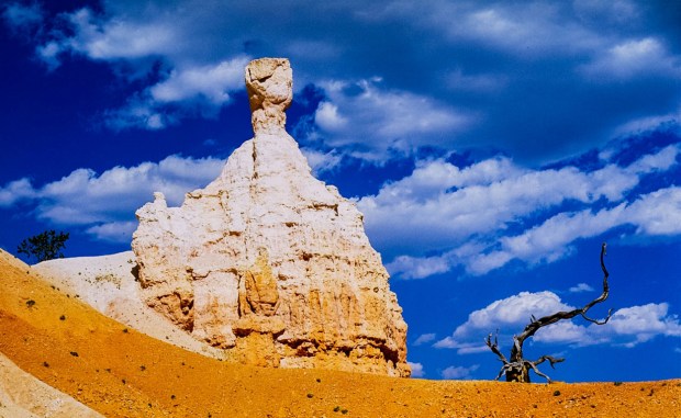 Hoodoo Sentinel