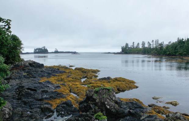 Reef Point Oceanfront B&B