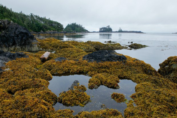 Reef Point Oceanfront B&B