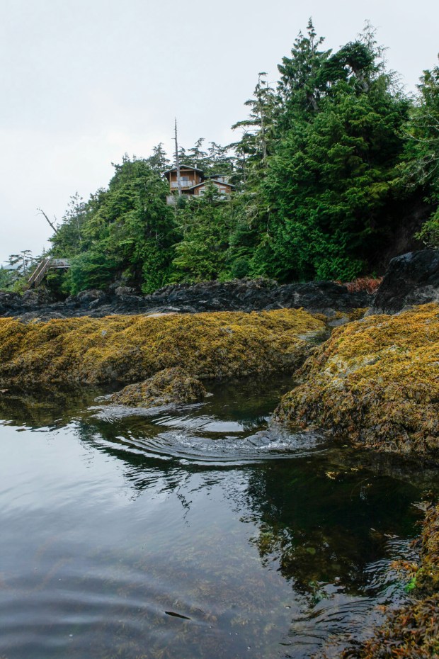 Reef Point Oceanfront B&B