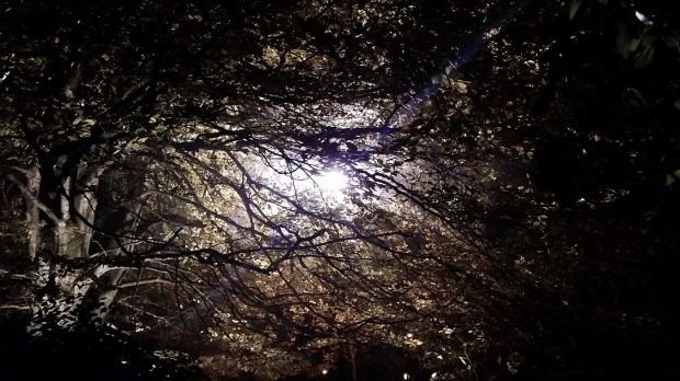 A dark and scary night