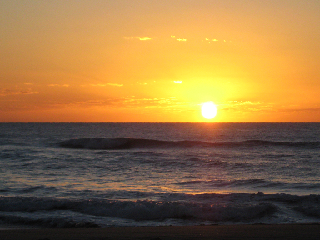 Sunshine Beach Sunrise