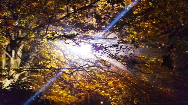 The Light that is Love