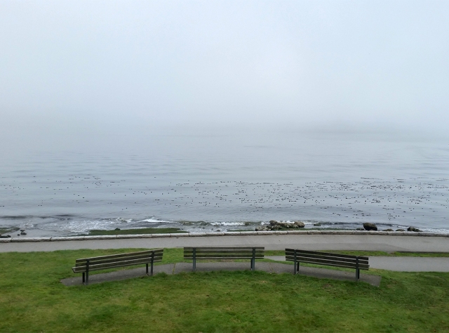 Burrard Inlet, Stanley Park, Vancouver, British Columbia, Canada