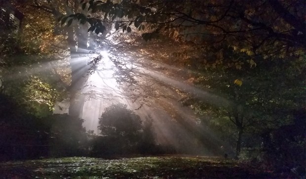 The path lit up for me