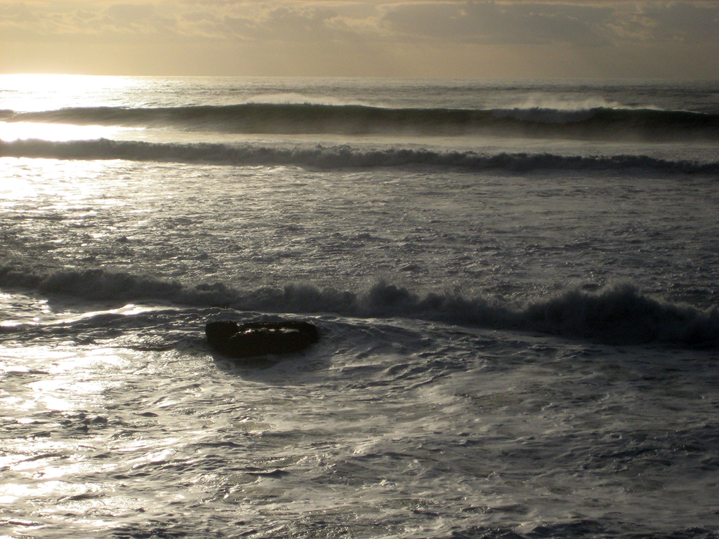 Pacific Coast, Near Santa Cruz, California, United States of America
