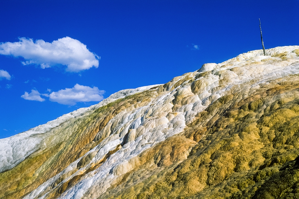 Mammoth Hot Springs, Yellowstone National Park, Wyoming, United States of America