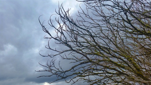 "Mulder's House", Langley, British Columbia, Canada