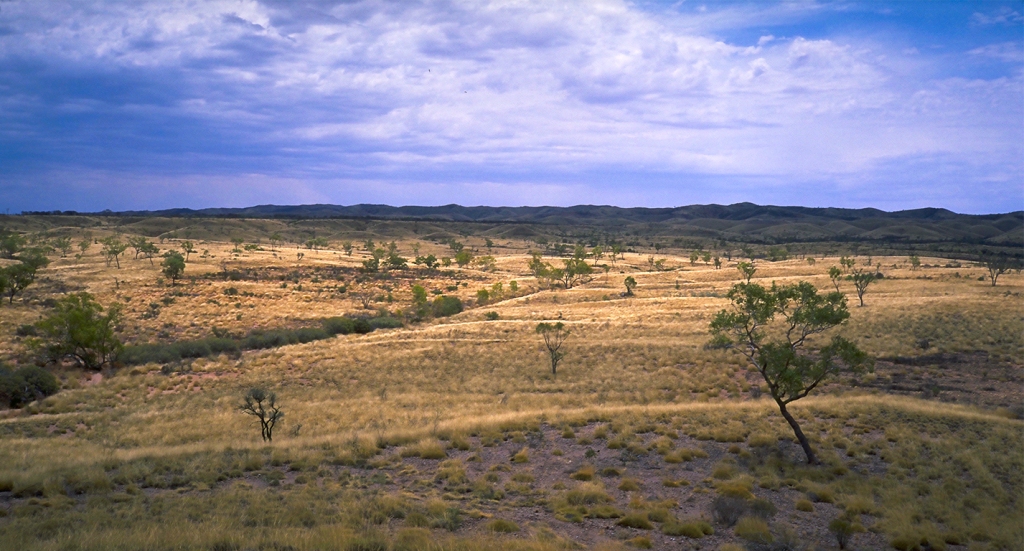 Grasslands, The Mereenie Loop, Near Gosses Bluff, Northern Territory, Australia