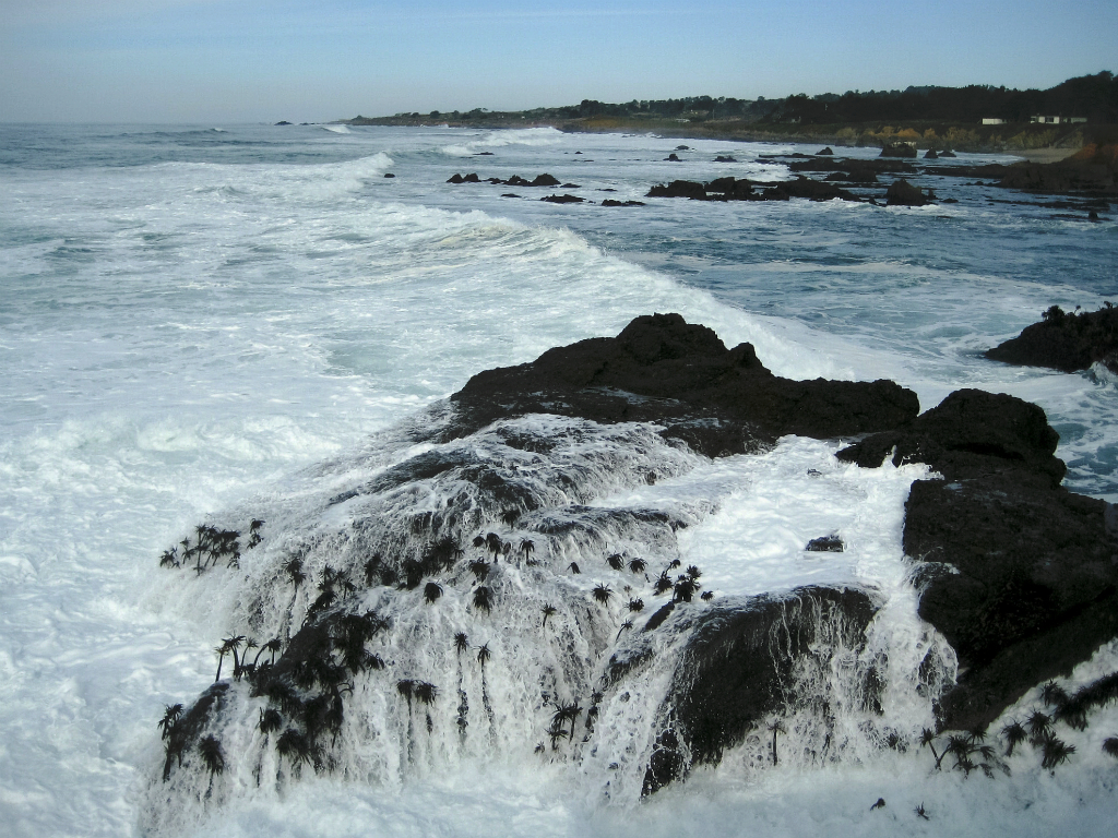 Surf, Near Pigeon Point Lighthouse, Pacific Coast Highway, California, United States of America