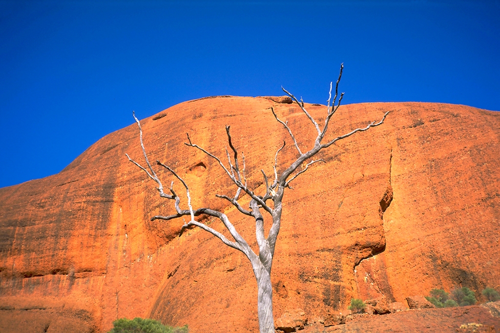 Life & Death & Stone, Kata Tjuta (The Oglas), Northern Territory, Australila