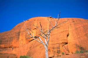 Life & Death & Stone, Kata Tjuta (The Oglas), Northern Territory, Australia