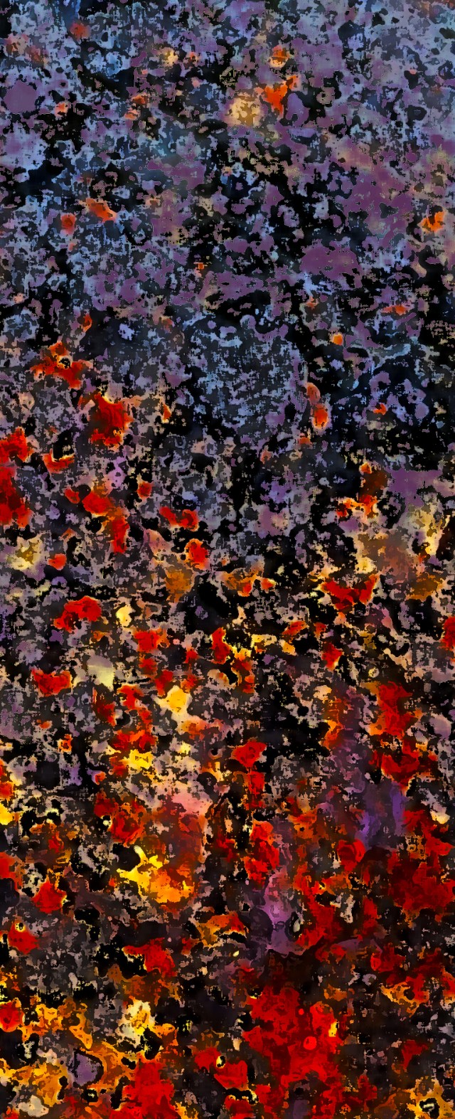 Lichen on Granite, Hope Slide, Nicolum Valley, Cascade Mountains, British Columbia, Canada