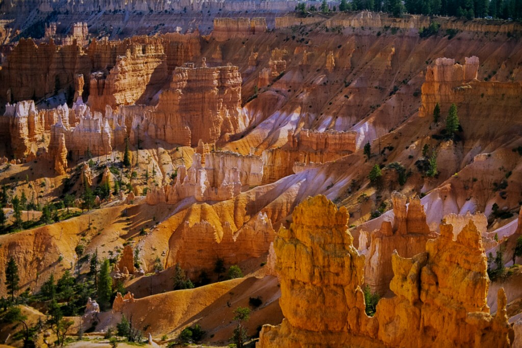 Hoodoos, Bryce Canyon National Park, Utah, United States of America