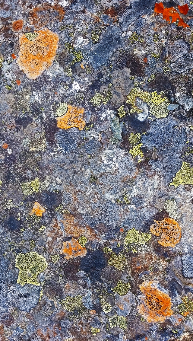 Granite and Lichen, Nicolum Valley, Cascade Mountains, British Columbia, Canada