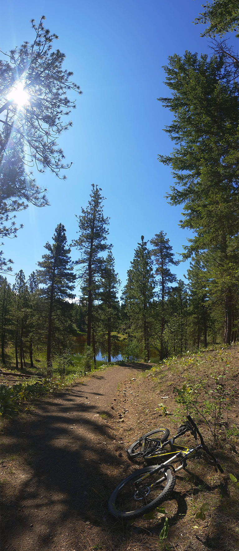 Mountain Biking, White Lake Trail, White Lake Grasslands Protected Area, Okanagan Falls, British Columbia, Canada