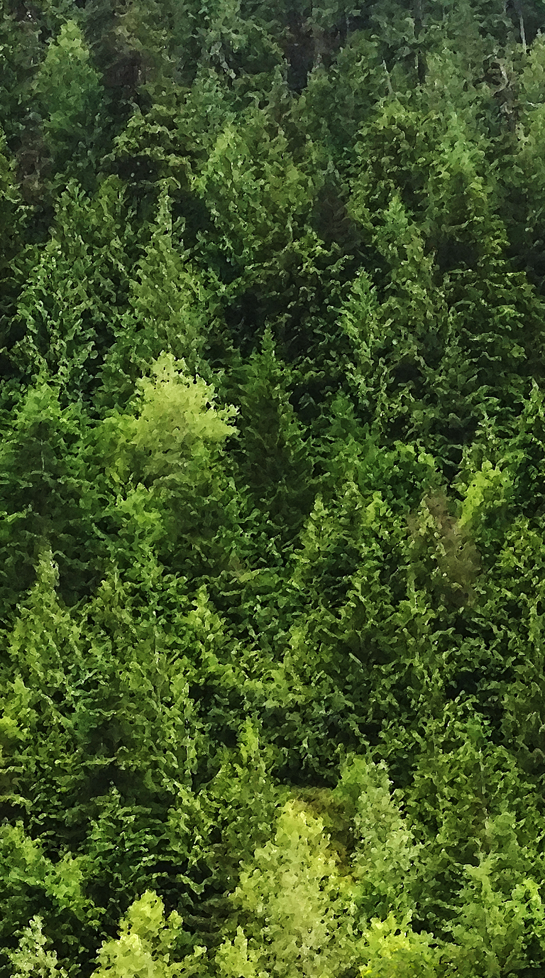 Hope Slide, Nicolum Valley, Cascade Mountains, British Columbia, Canada