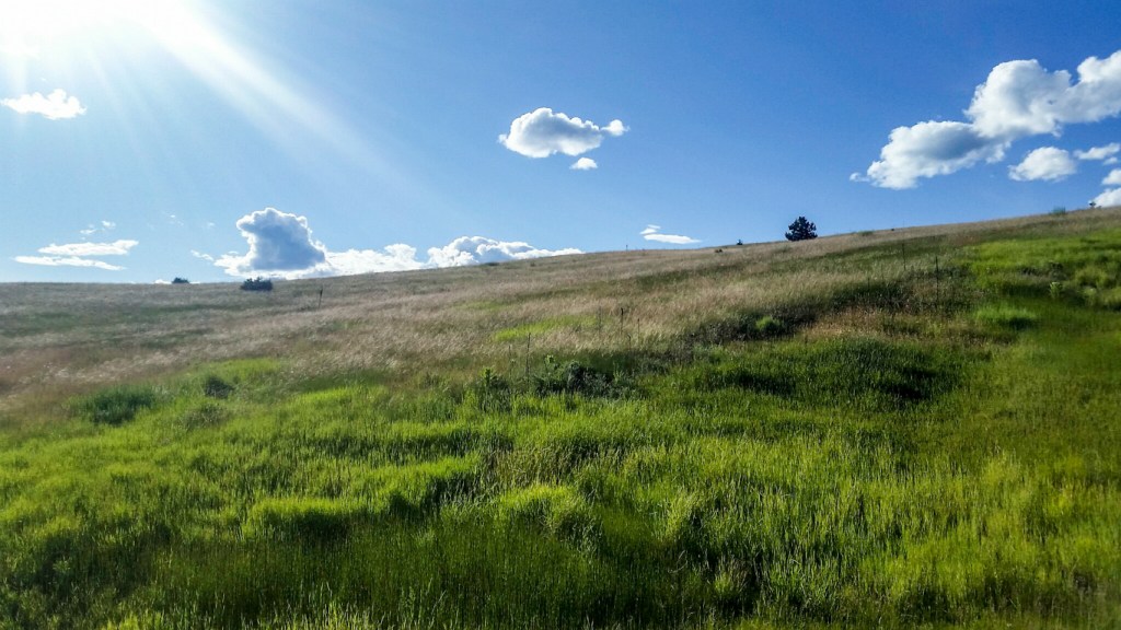 Big Sky ~ Big Land, Paul Lake Road, Kamloops, British Columbia, Canada