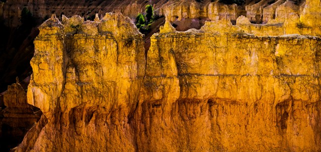 Golden Hoodoos, Bryce Canyon National Park, Utah, United States of America