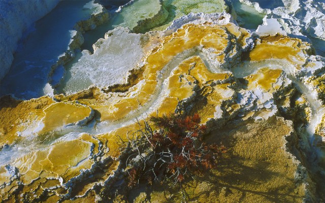 Mineral Spring, Mammoth Hot Springs, Yellowstone, National Park, Wyoming, Unites States of America