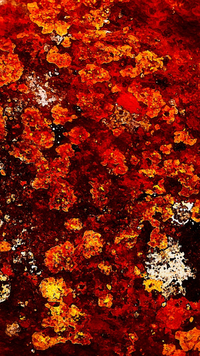 Lichen on Granite, Hope Slide, Cascade Mountains, Nicolum Valley, British Columbia, Canada