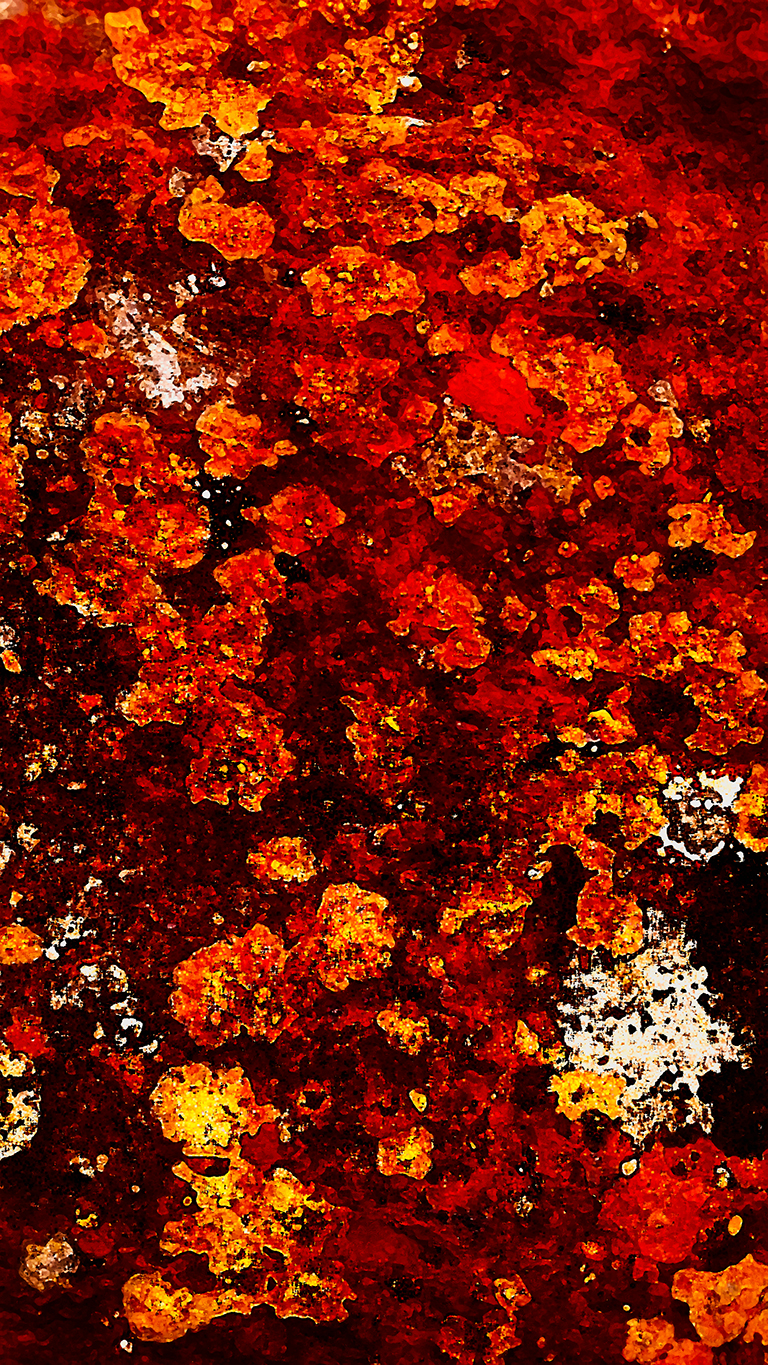 Lichen on Granite, Hope Slide, Cascade Mountains, Nicolum Valley, British Columbia, Canada