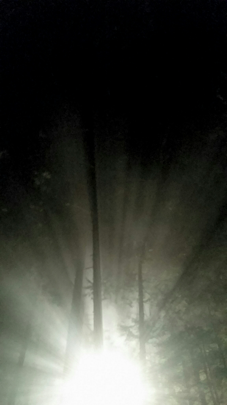 Lightfanthe Earth, Deep Cove, British Columbia, Canada