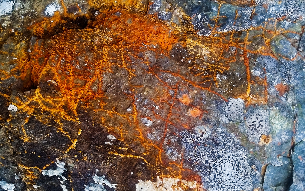 Lichen on Granite, Hope Slide, Nicolum Valley, Cascade Mountains, Crowsnest Highway, British Columbia, Canada