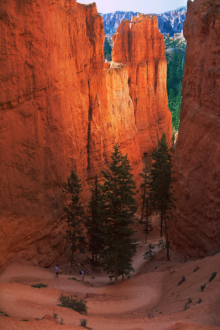 Hikers and Hoodoos, Bryce Canyon National Park, Utah, United States of America