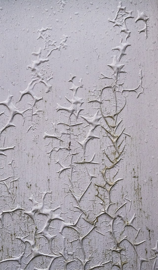 Deteriorating Paint, Britannia Beach, British Columbia, Canada