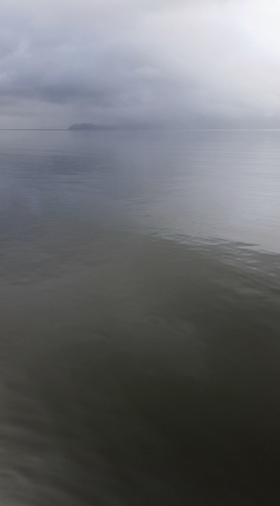 Howe Sound Greys, Porteau Cove, Sea to Sky Highway, British Columbia, Canada