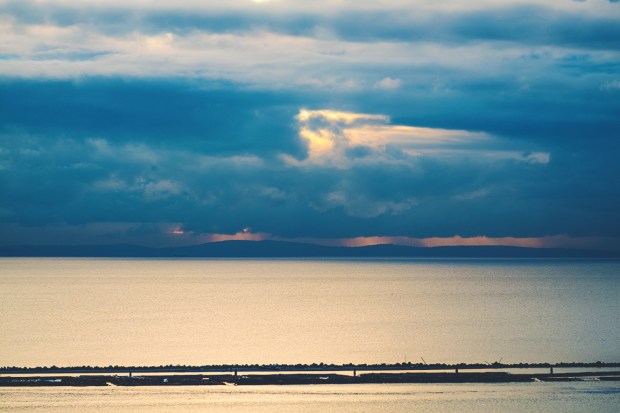 Log Booms, Pacific Spirit Regional Park, Vancouver, British Columbia, Canada