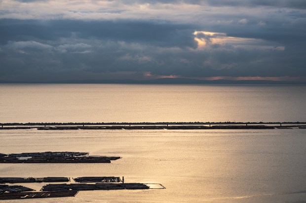 Log Booms, Pacific Spirit Regional Park, Vancouver, British Columbia, Canada