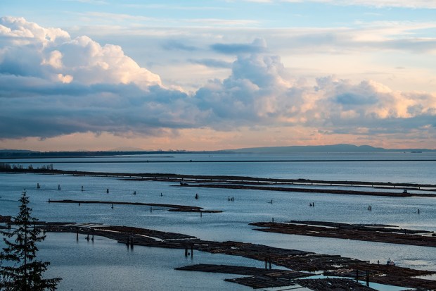 Log Booms, Pacific Spirit Regional Park, Vancouver, British Columbia, Canada