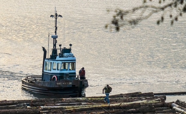 Tugboat Log Drivers, Pacific Spirit Regional Park, Vancouver, British Columbia, Canada