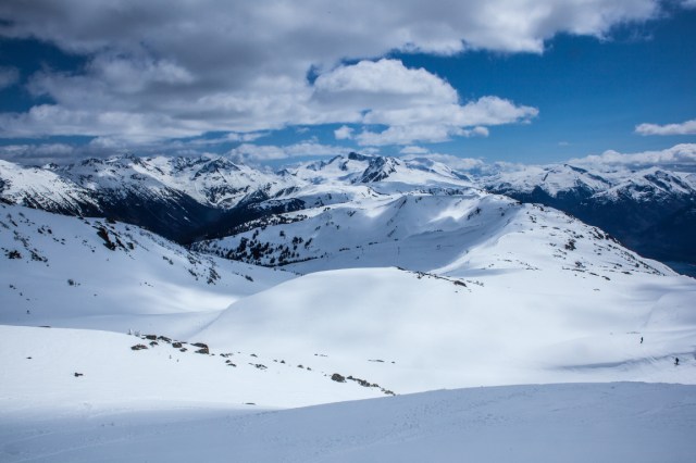 High Mountain Reverie, Burnt Stew Basin and Symphony Amphitheatre, Whistler Mountain, British Columbia, Canada