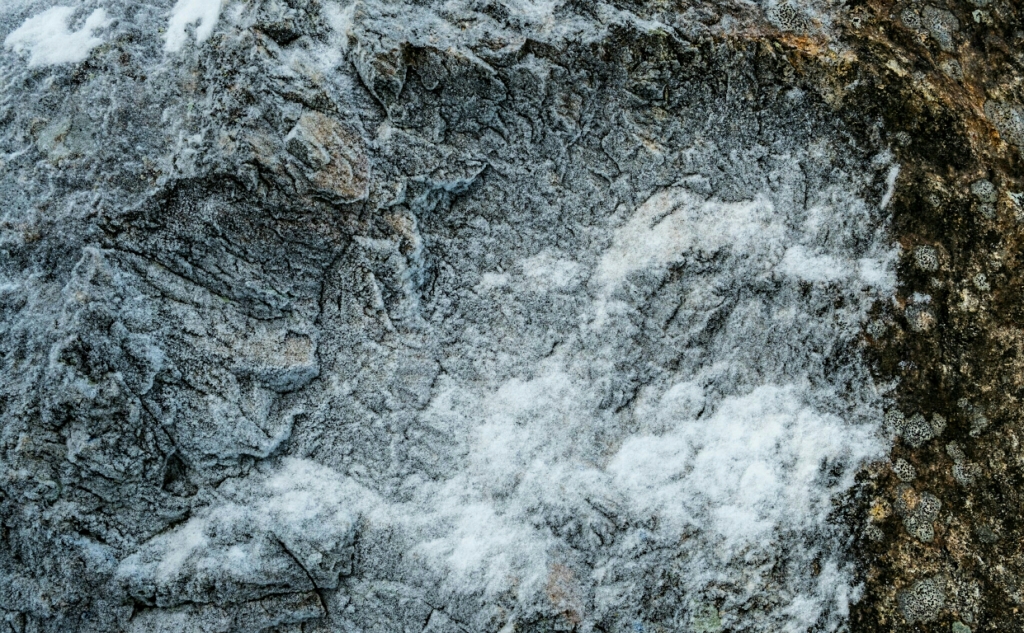 Frost and Lichen on Granite, Cheakamus River, Sea to Sky Highway, British Columbia, Canada