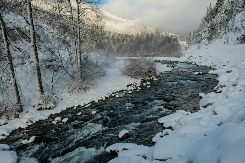 River Dream, Cheakamus River, Sea to Sky Highway, British Columbia, Canada