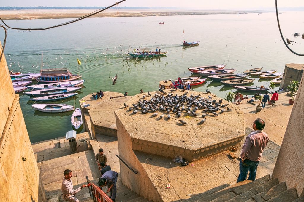 For the Birds, The Ganga (Ganges River), Kashi (Old Varanasi), Uttar Pradesh, India copy