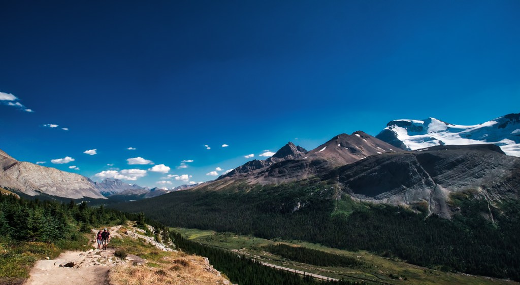 Wilcox Pass Trail, Jasper National Park, Alberta, Canada