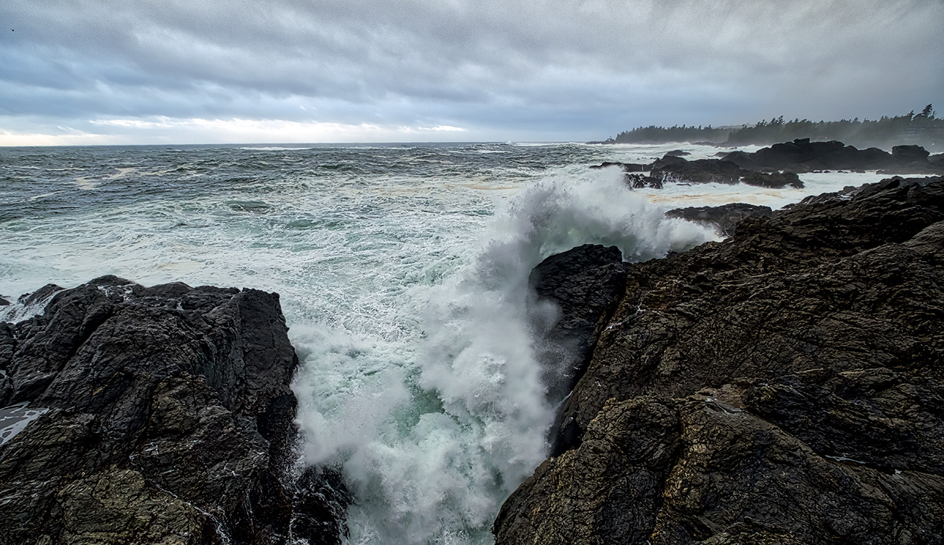 Ferocity, Cygnet Cove, Ucluelet, British Columbia, Canada