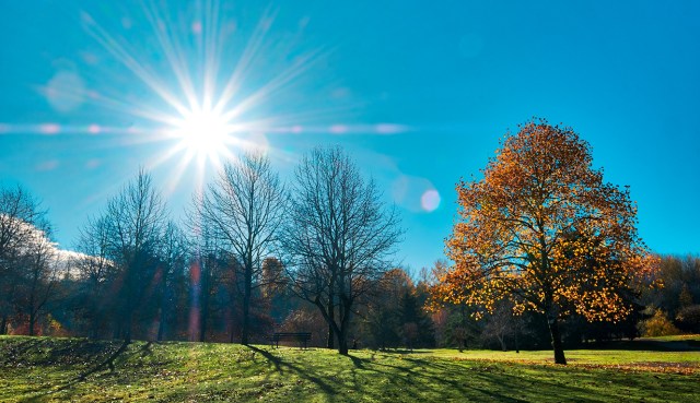 Last Colours, Jericho Park, Vancouver, British Columbia, Canada