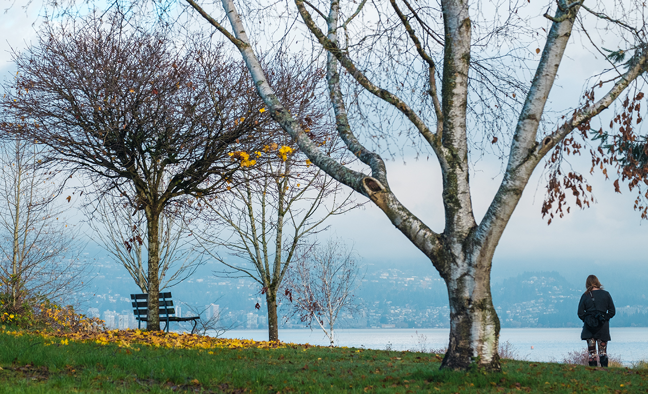 Empty Bench, Jericho Beach Park, Vancouver, British Columbia, Canada