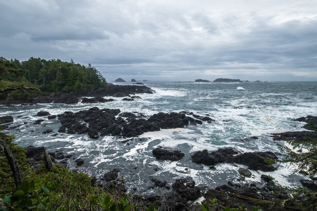 Wild Sea, Cygnet Cove, Ucluelet, Vancouver Island, British Columbia, Canada