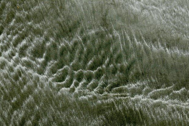 Chesterman Beach, Tofino, Vancouver Island, British Columbia, Canada
