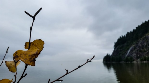 Like Leaves We Touch, Porteau Cove Provincial Park, Howe Sound, British Columbia, Canada