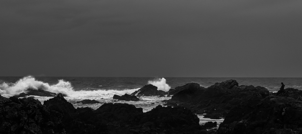 Remnants of a storm, Amphitrite Point, Wild Pacific Trail, Ucluelet, Vancouver Island, British Columbia, Canada